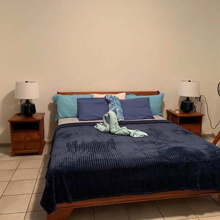 Royal Palm Resort Curacao Geweldig Zeezicht Willemstad Exteriör bild