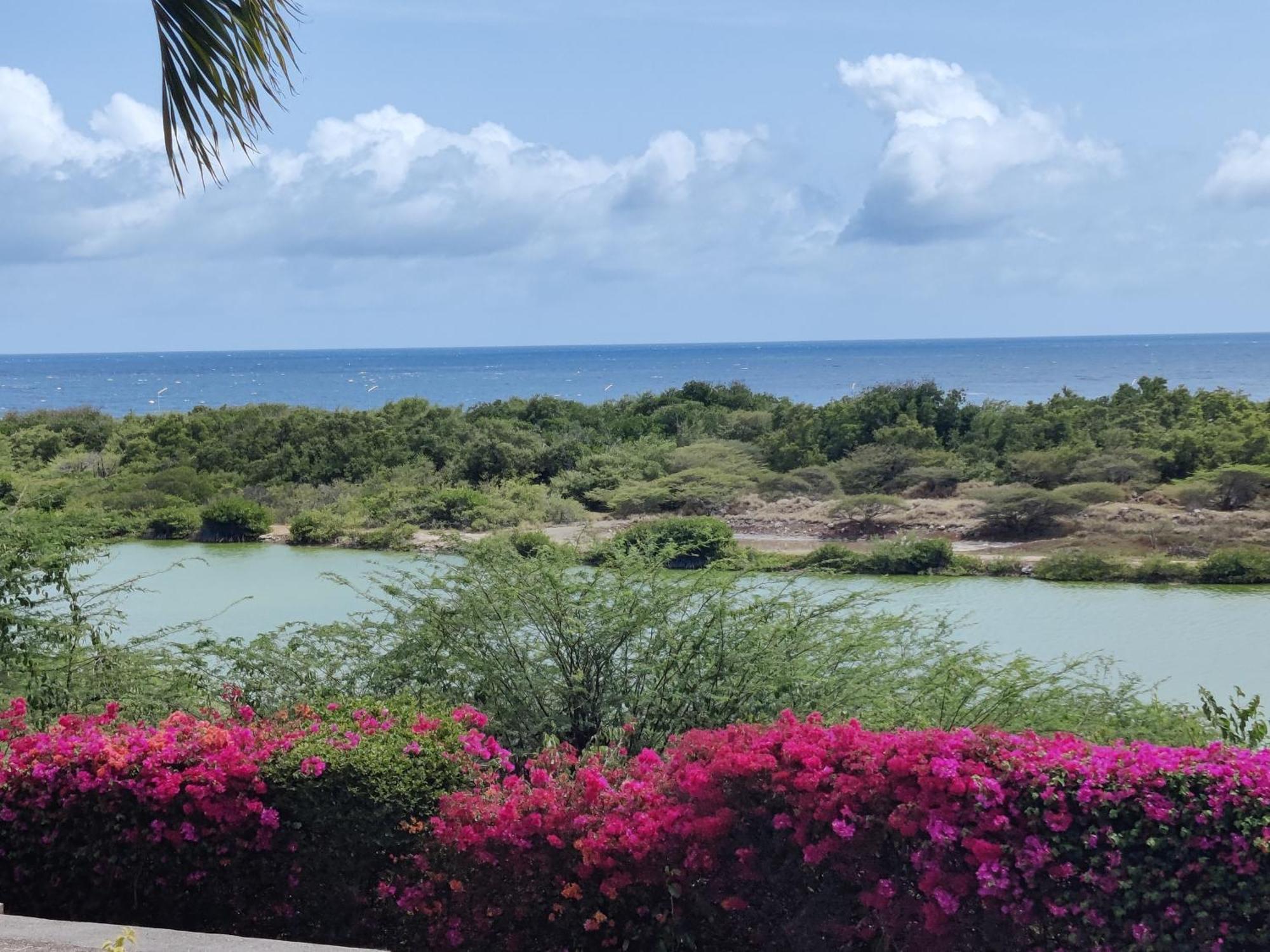 Royal Palm Resort Curacao Geweldig Zeezicht Willemstad Exteriör bild