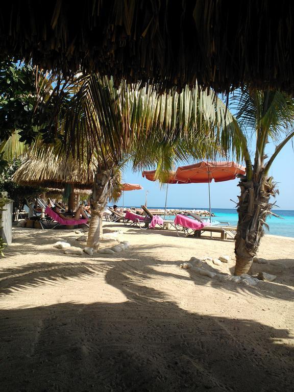 Royal Palm Resort Curacao Geweldig Zeezicht Willemstad Exteriör bild