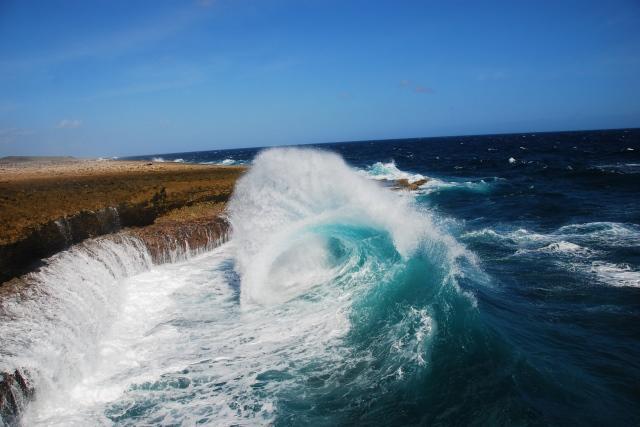 Royal Palm Resort Curacao Geweldig Zeezicht Willemstad Exteriör bild